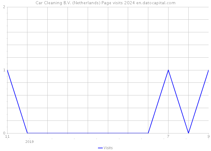 Car Cleaning B.V. (Netherlands) Page visits 2024 