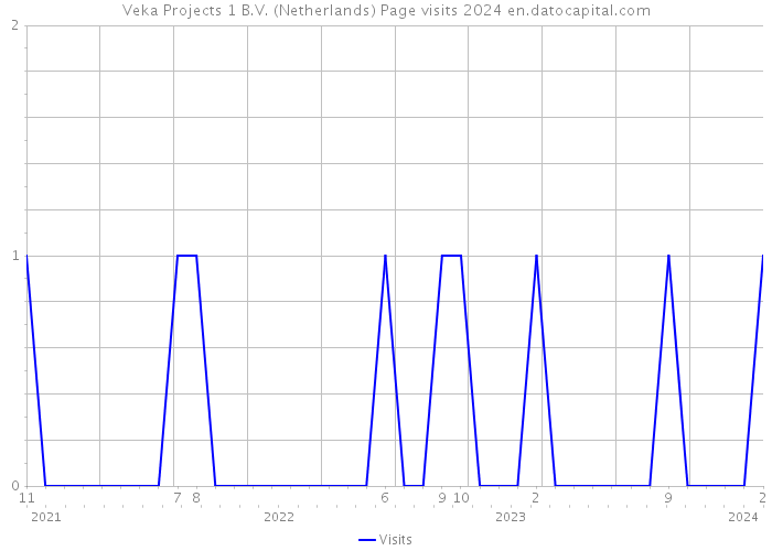Veka Projects 1 B.V. (Netherlands) Page visits 2024 
