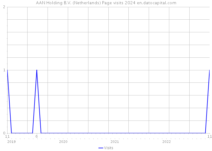 AAN Holding B.V. (Netherlands) Page visits 2024 