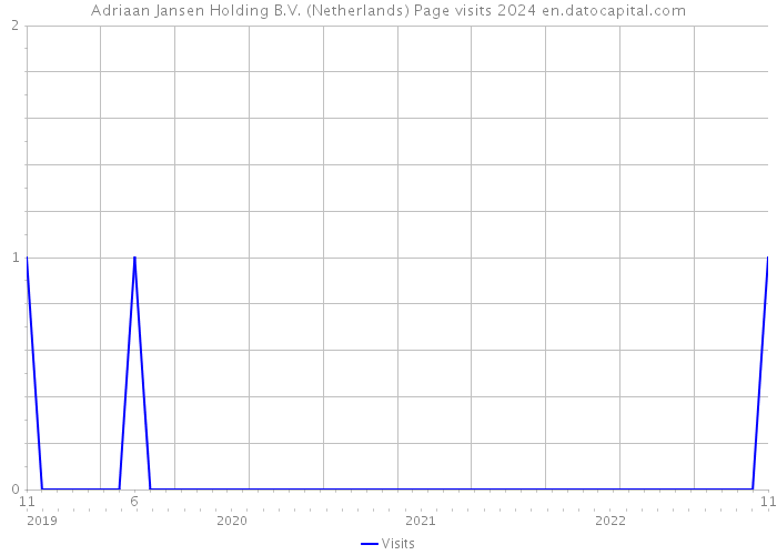 Adriaan Jansen Holding B.V. (Netherlands) Page visits 2024 