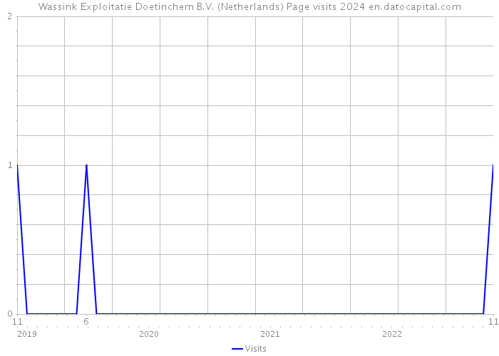 Wassink Exploitatie Doetinchem B.V. (Netherlands) Page visits 2024 