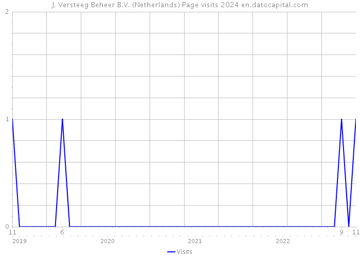 J. Versteeg Beheer B.V. (Netherlands) Page visits 2024 