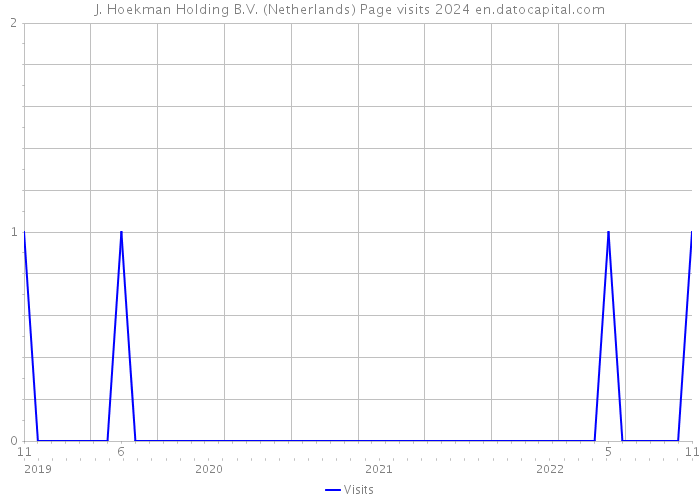 J. Hoekman Holding B.V. (Netherlands) Page visits 2024 