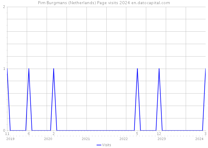 Pim Burgmans (Netherlands) Page visits 2024 