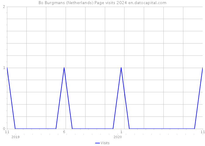 Bo Burgmans (Netherlands) Page visits 2024 