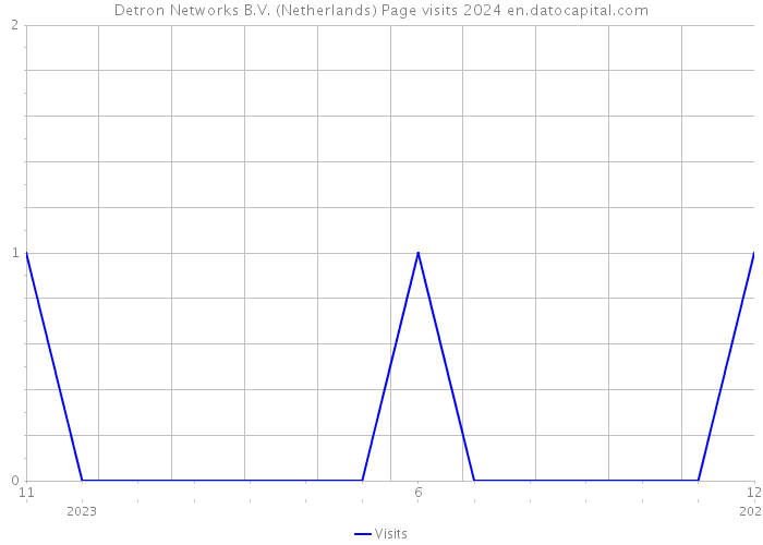 Detron Networks B.V. (Netherlands) Page visits 2024 