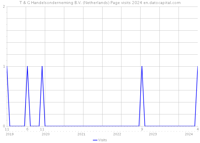 T & G Handelsonderneming B.V. (Netherlands) Page visits 2024 