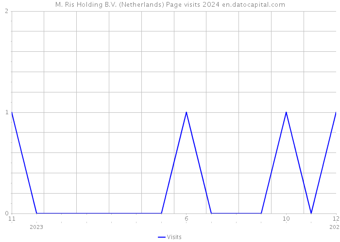 M. Ris Holding B.V. (Netherlands) Page visits 2024 