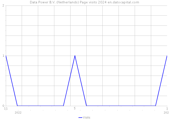Data Power B.V. (Netherlands) Page visits 2024 