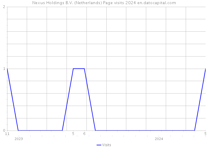 Nexus Holdings B.V. (Netherlands) Page visits 2024 