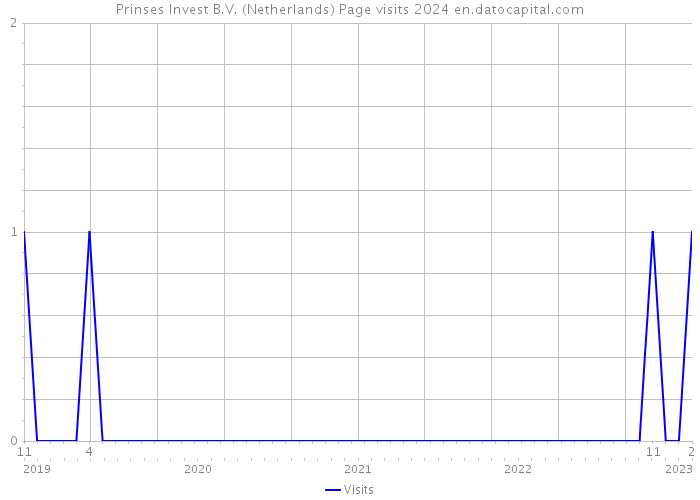 Prinses Invest B.V. (Netherlands) Page visits 2024 