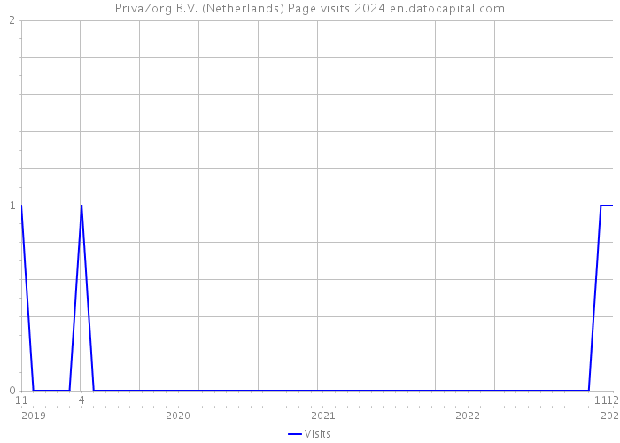 PrivaZorg B.V. (Netherlands) Page visits 2024 