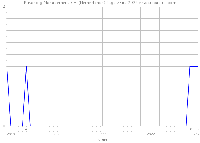 PrivaZorg Management B.V. (Netherlands) Page visits 2024 