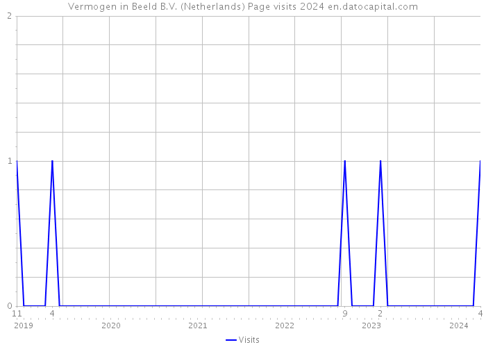 Vermogen in Beeld B.V. (Netherlands) Page visits 2024 