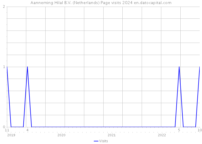 Aanneming Hilal B.V. (Netherlands) Page visits 2024 
