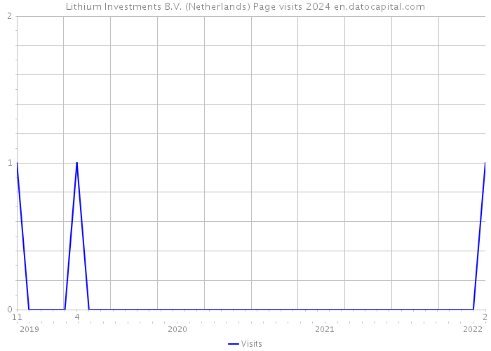 Lithium Investments B.V. (Netherlands) Page visits 2024 