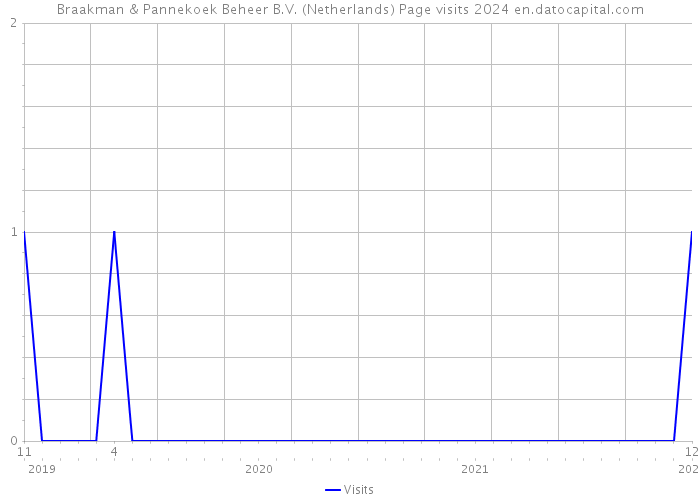 Braakman & Pannekoek Beheer B.V. (Netherlands) Page visits 2024 