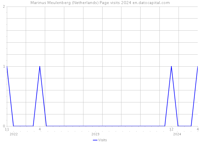 Marinus Meulenberg (Netherlands) Page visits 2024 