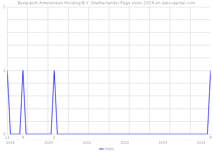 Bestpatch Amstelveen Holding B.V. (Netherlands) Page visits 2024 