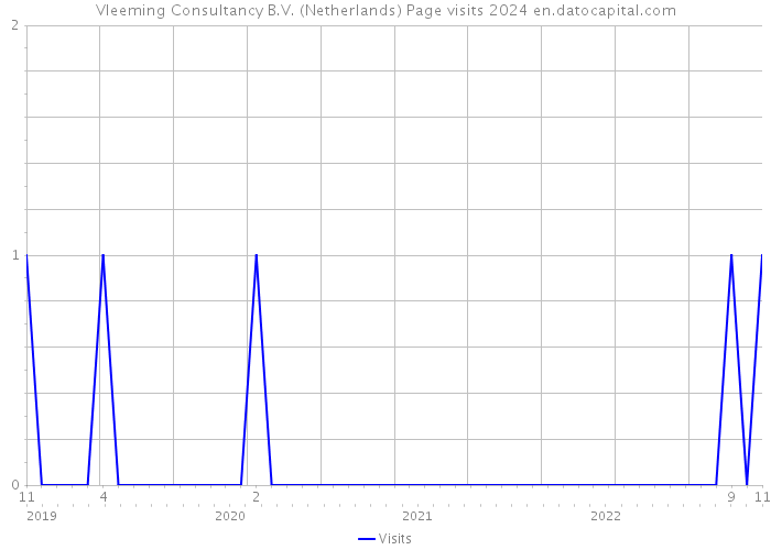 Vleeming Consultancy B.V. (Netherlands) Page visits 2024 
