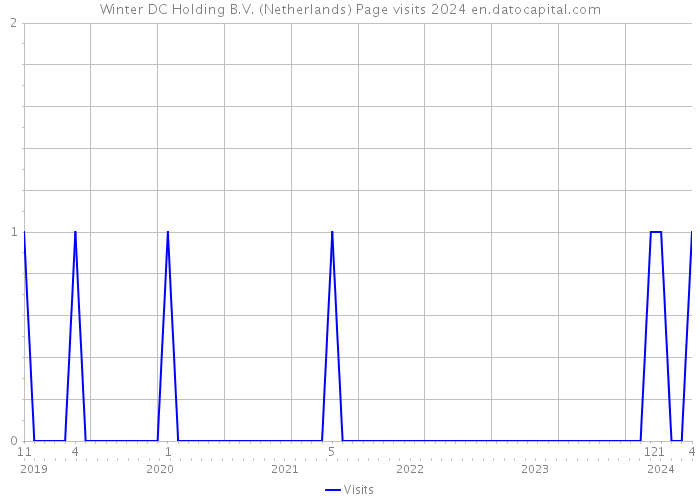 Winter DC Holding B.V. (Netherlands) Page visits 2024 