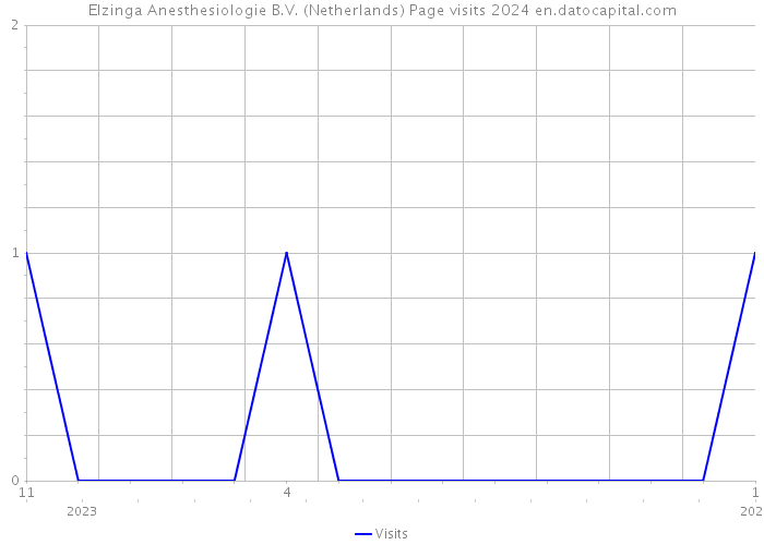 Elzinga Anesthesiologie B.V. (Netherlands) Page visits 2024 