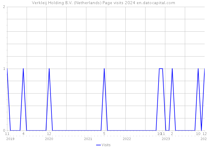 Verkleij Holding B.V. (Netherlands) Page visits 2024 