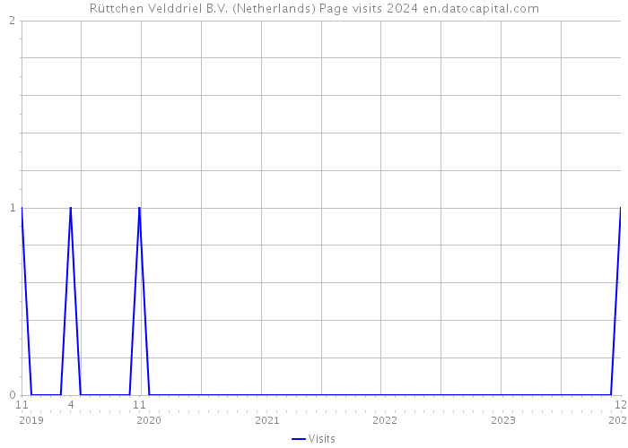 Rüttchen Velddriel B.V. (Netherlands) Page visits 2024 
