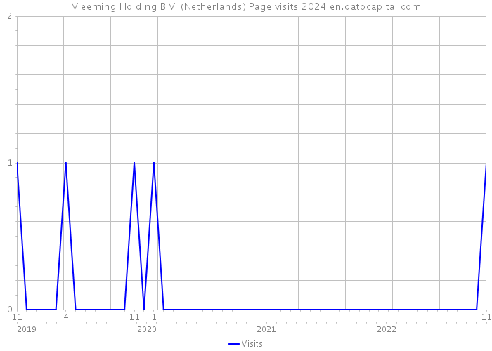 Vleeming Holding B.V. (Netherlands) Page visits 2024 