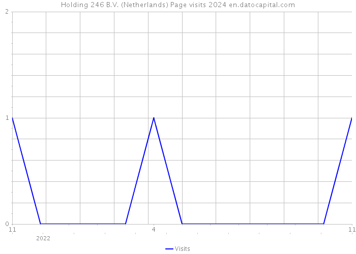 Holding 246 B.V. (Netherlands) Page visits 2024 