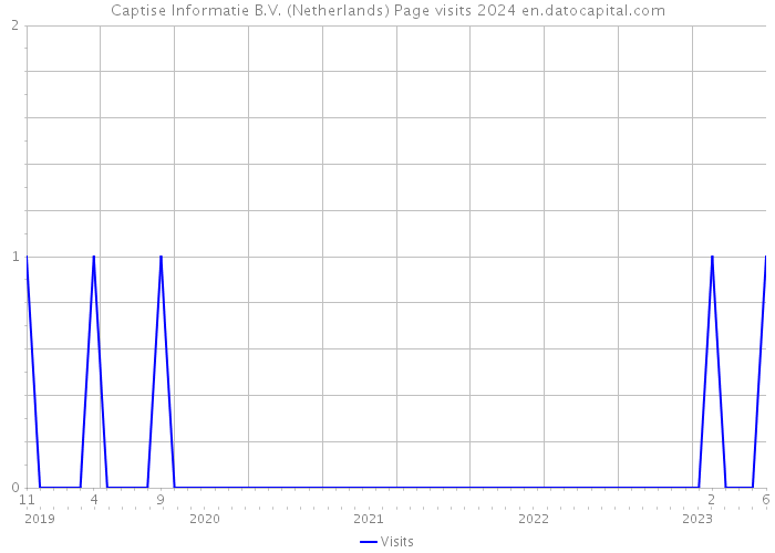Captise Informatie B.V. (Netherlands) Page visits 2024 