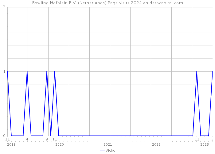 Bowling Hofplein B.V. (Netherlands) Page visits 2024 