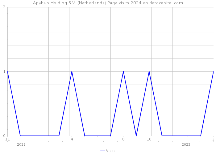 Apyhub Holding B.V. (Netherlands) Page visits 2024 
