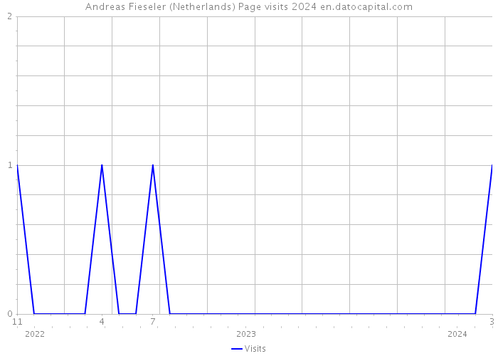 Andreas Fieseler (Netherlands) Page visits 2024 