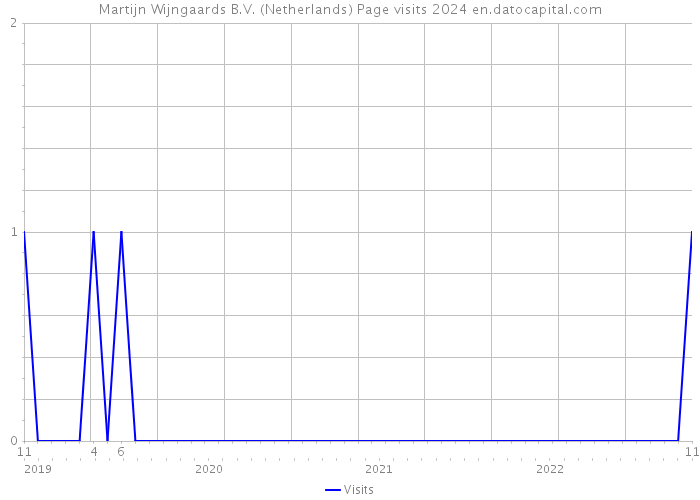 Martijn Wijngaards B.V. (Netherlands) Page visits 2024 