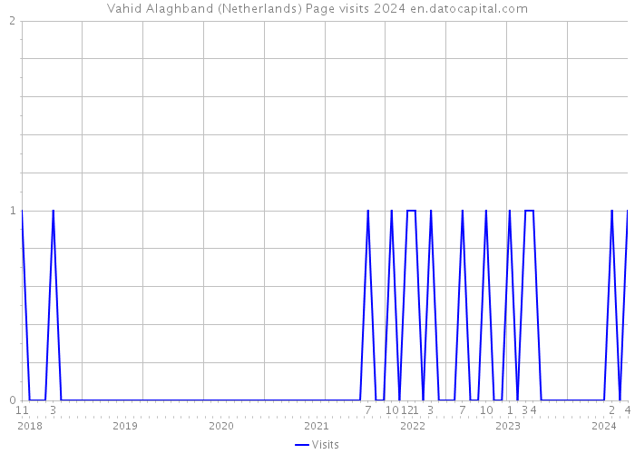 Vahid Alaghband (Netherlands) Page visits 2024 