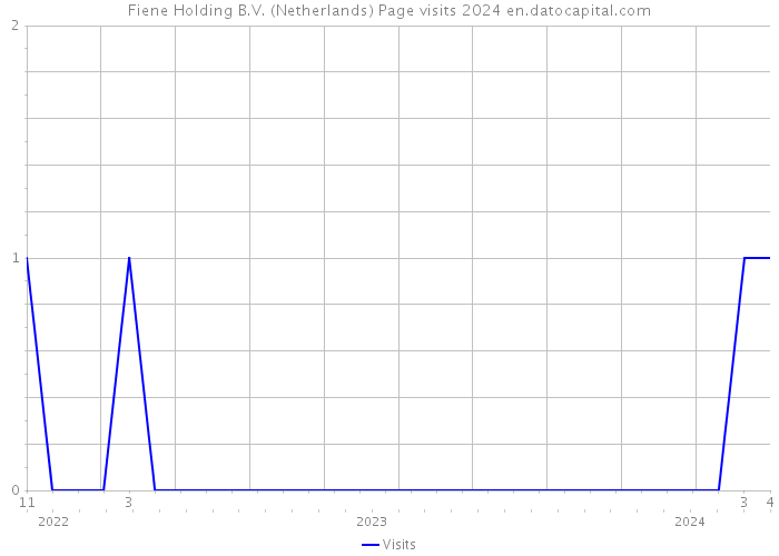 Fiene Holding B.V. (Netherlands) Page visits 2024 