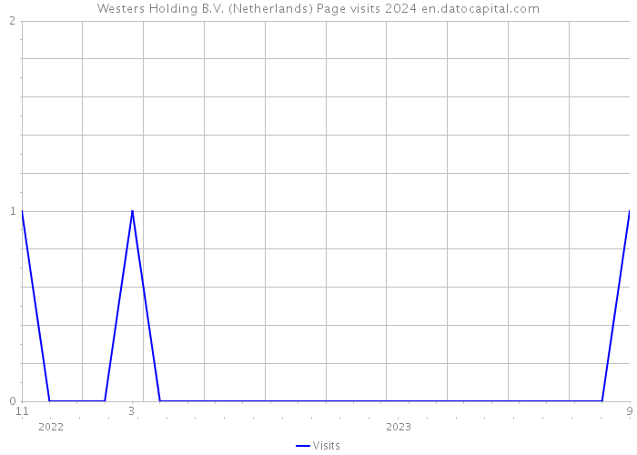 Westers Holding B.V. (Netherlands) Page visits 2024 