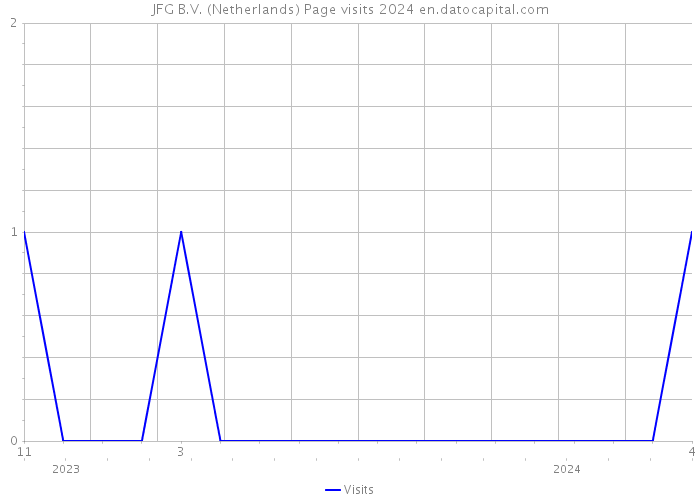 JFG B.V. (Netherlands) Page visits 2024 