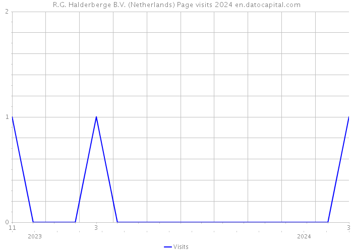 R.G. Halderberge B.V. (Netherlands) Page visits 2024 