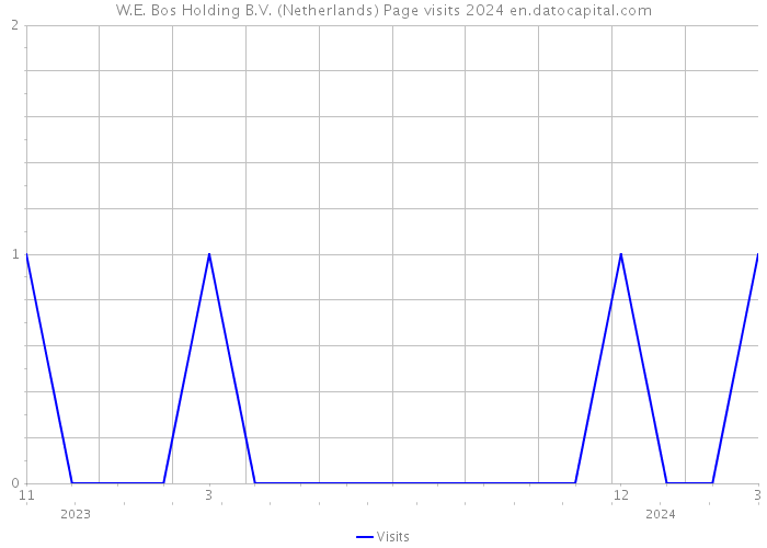 W.E. Bos Holding B.V. (Netherlands) Page visits 2024 