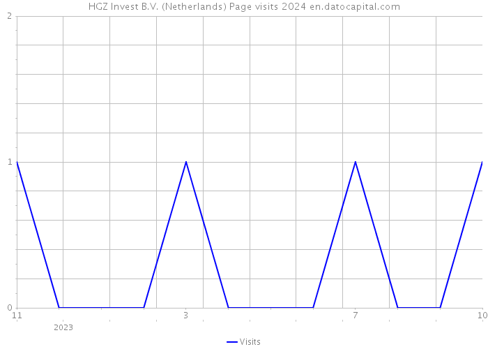 HGZ Invest B.V. (Netherlands) Page visits 2024 