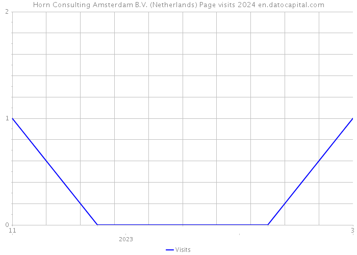 Horn Consulting Amsterdam B.V. (Netherlands) Page visits 2024 