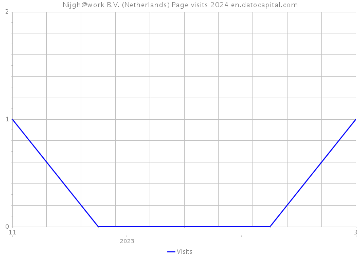 Nijgh@work B.V. (Netherlands) Page visits 2024 