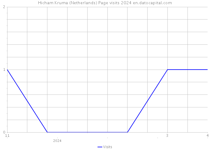 Hicham Kruma (Netherlands) Page visits 2024 