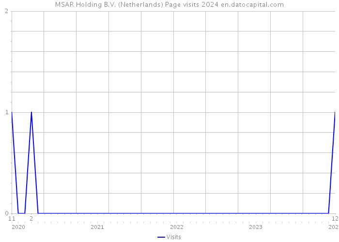 MSAR Holding B.V. (Netherlands) Page visits 2024 