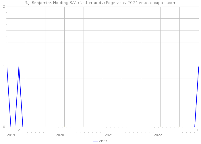 R.J. Benjamins Holding B.V. (Netherlands) Page visits 2024 