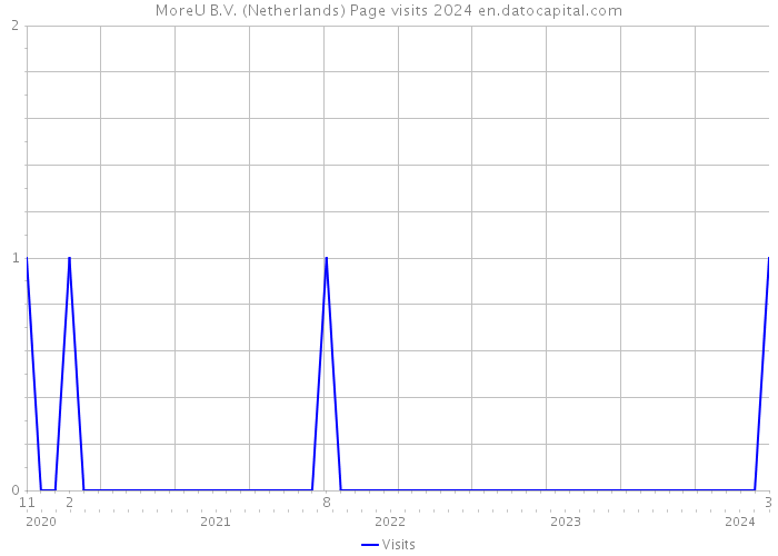 MoreU B.V. (Netherlands) Page visits 2024 
