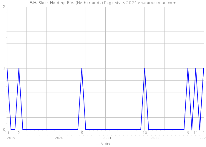 E.H. Blaes Holding B.V. (Netherlands) Page visits 2024 