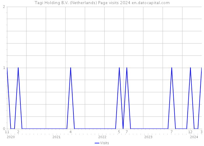 Tagi Holding B.V. (Netherlands) Page visits 2024 